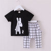 Rabbit Pattern Toddler Boys Clothing Set